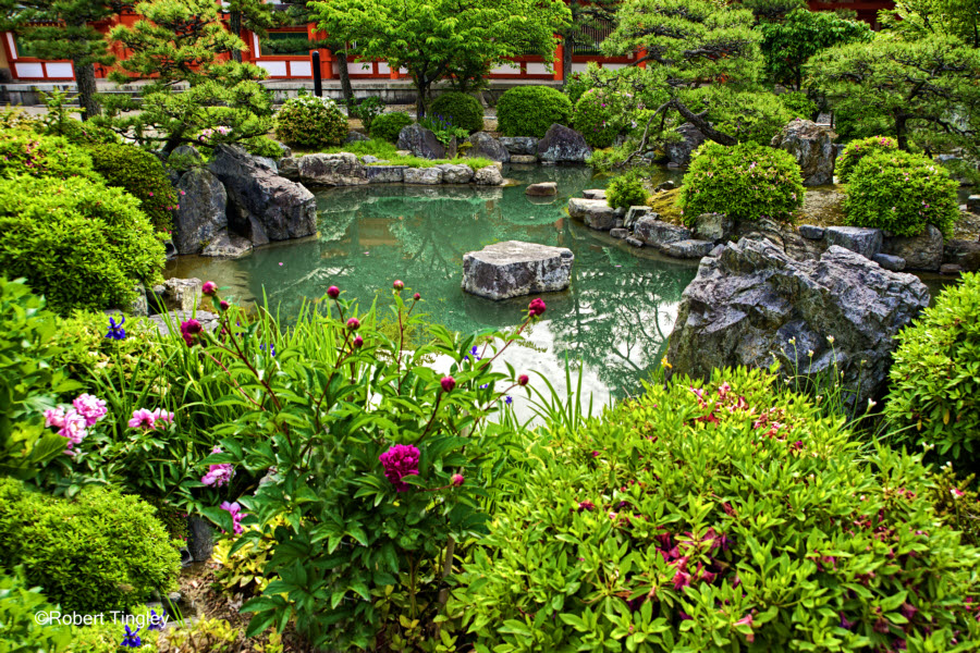 Kyoto #4385